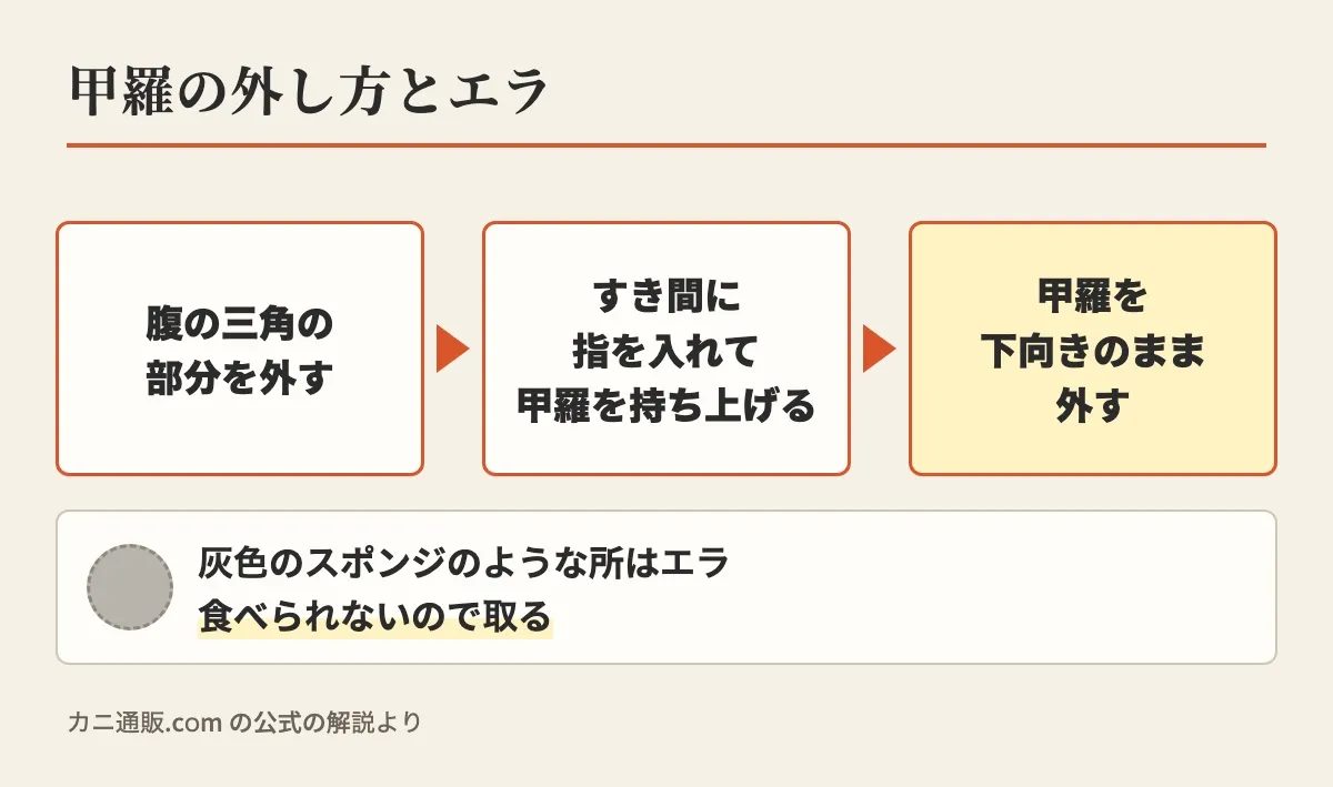 甲羅の外し方として、腹の三角の部分を外す、すき間に指を入れて甲羅を持ち上げる、甲羅を下向きのまま外す、の3つの順と、灰色のスポンジのような所はエラで食べられないので取ることを示した図