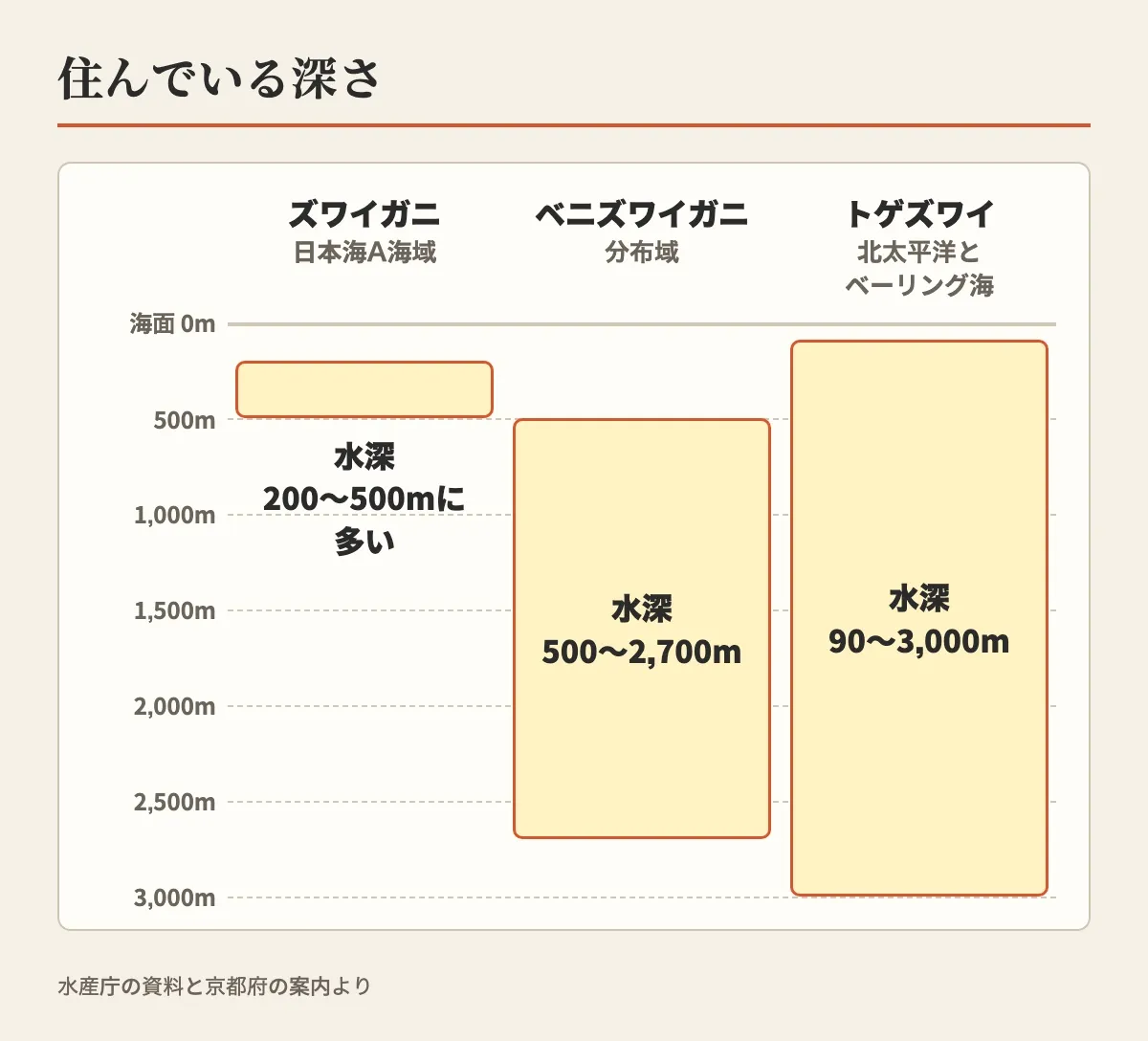 ズワイガニは日本海のA海域で水深200〜500mに多く、ベニズワイガニの分布域は水深500〜2,700m、トゲズワイは北太平洋とベーリング海の水深90〜3,000mと、住んでいる深さを海の断面の帯で示した図