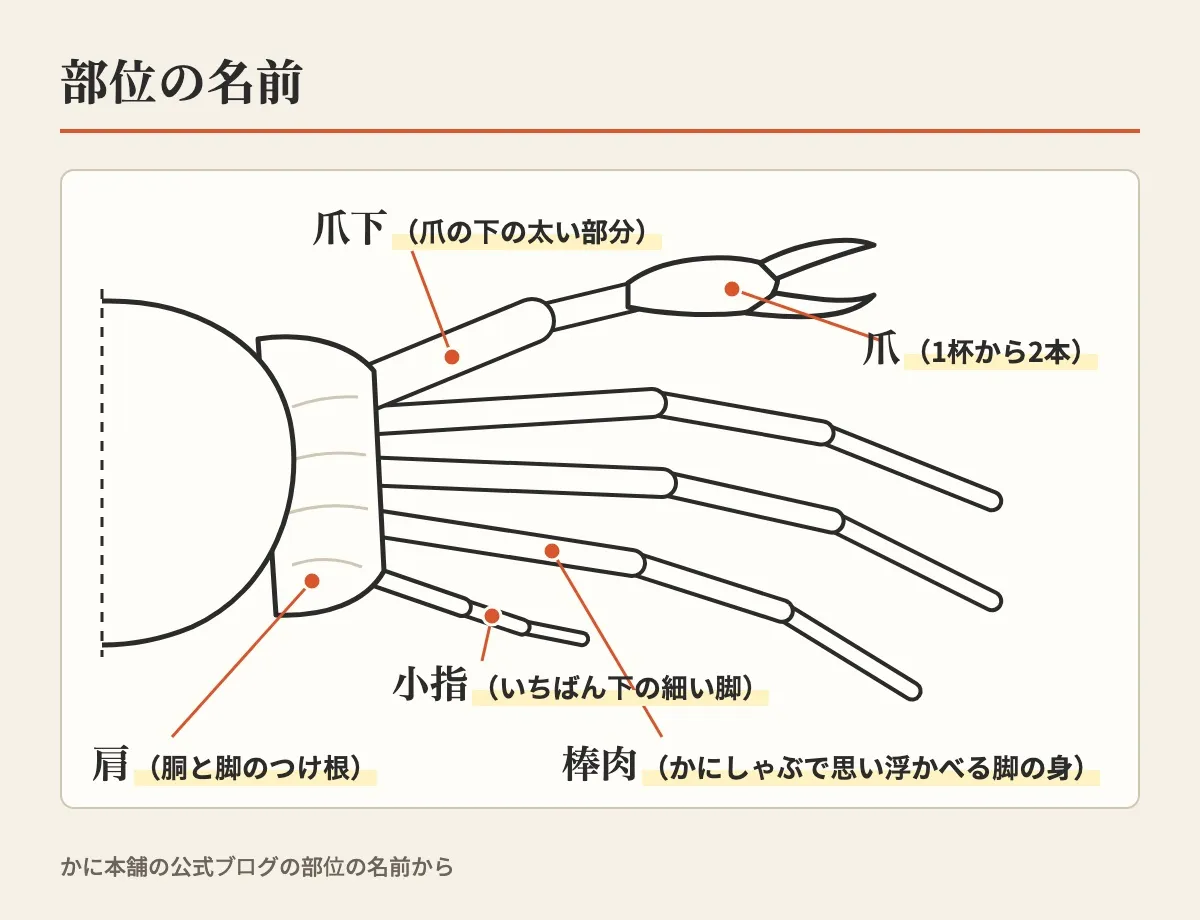 ズワイガニの片側の絵に、爪・爪下・棒肉・肩・小指の部位の名前を線で示した図
