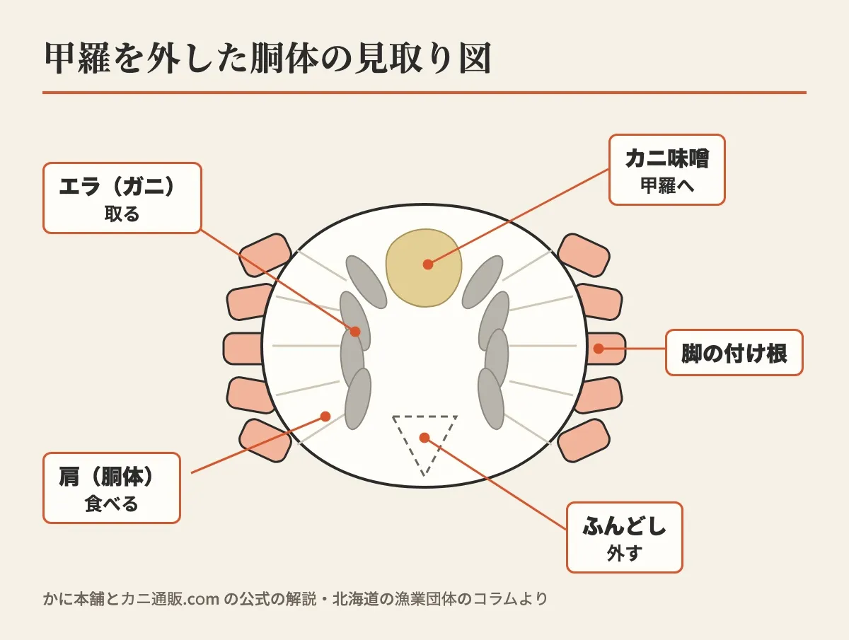 甲羅を外した胴体を上から見た見取り図で、エラ(ガニ)は取る、肩(胴体)は食べる、カニ味噌は甲羅へ、腹の側のふんどしは外す、と脚の付け根の場所を示した図